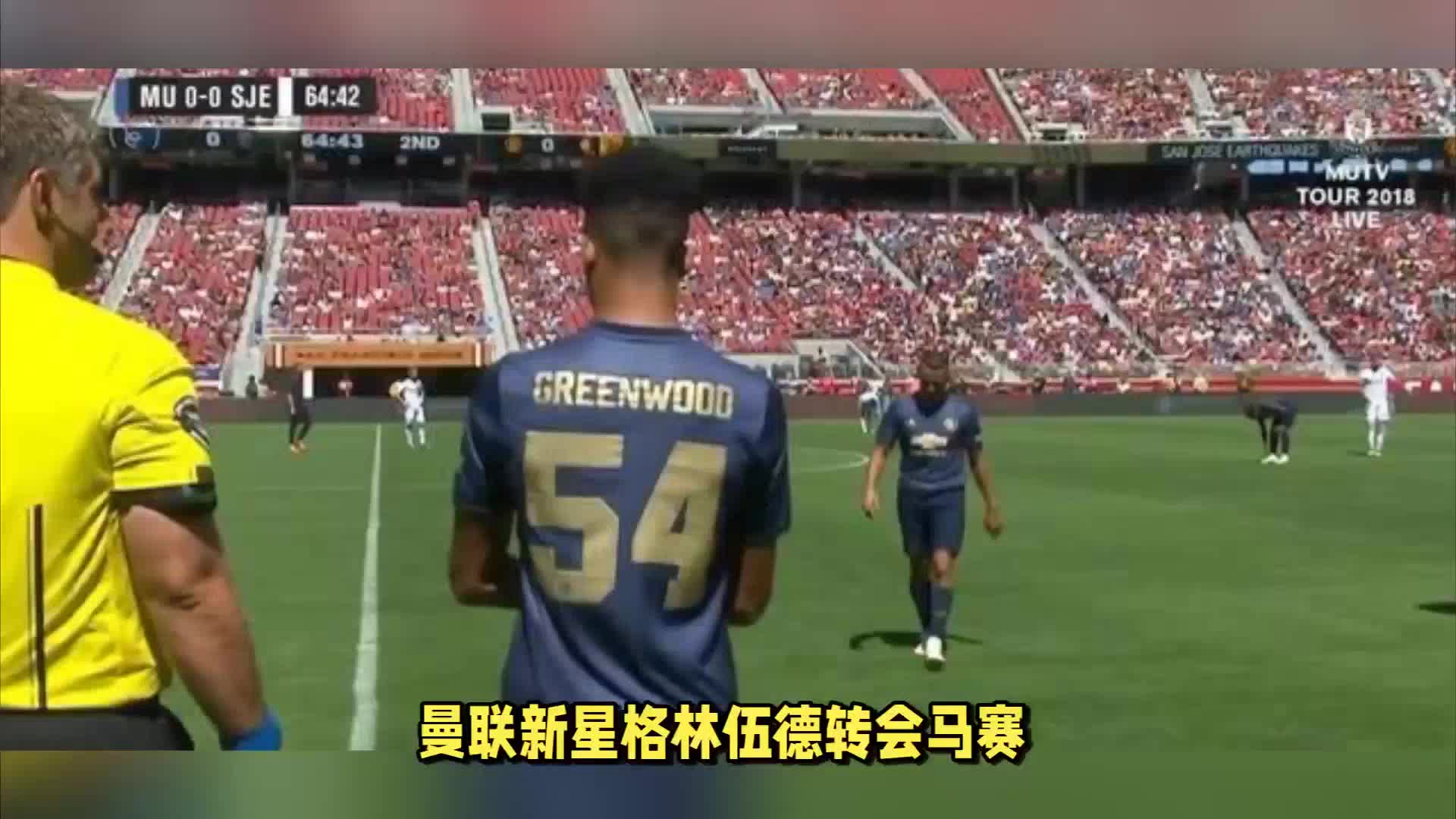 迷一